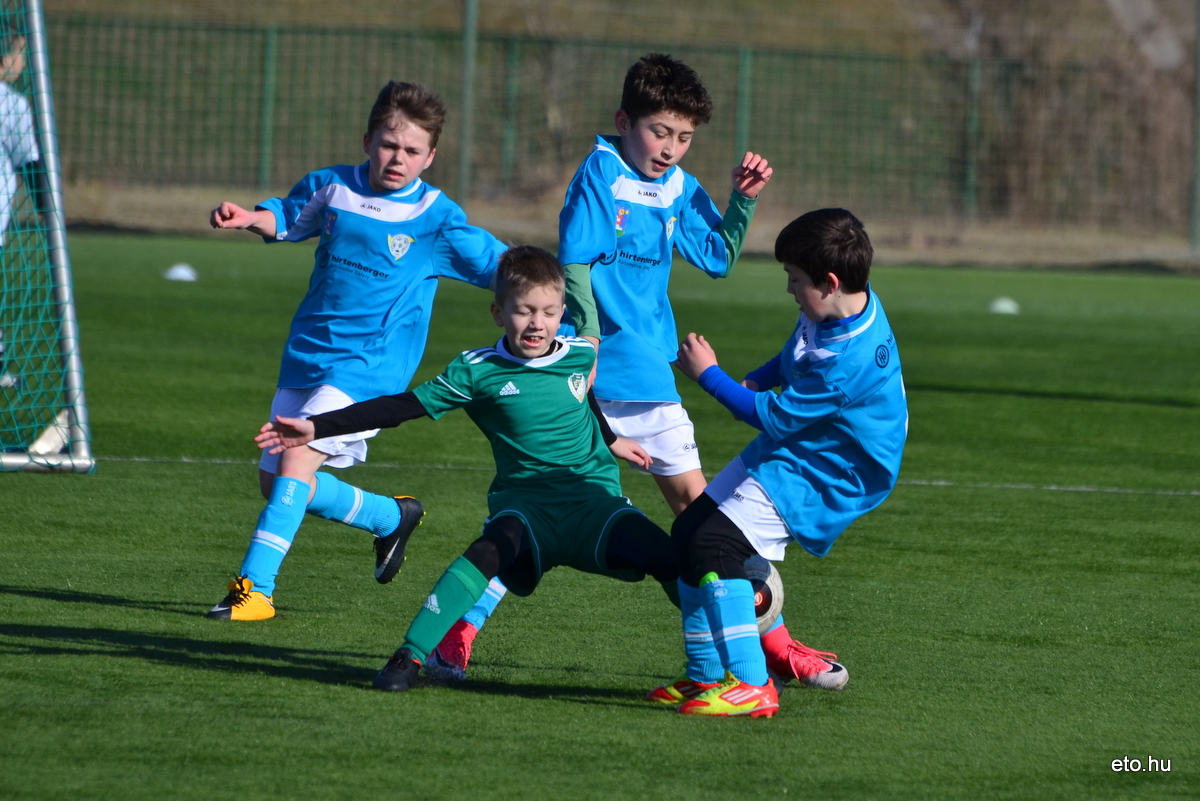Bozsik kupa 180310