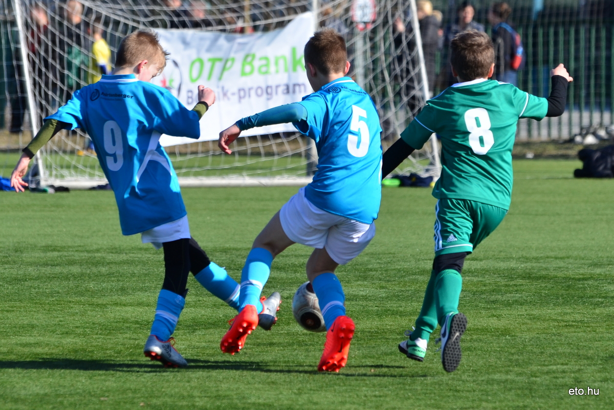Bozsik kupa 180310