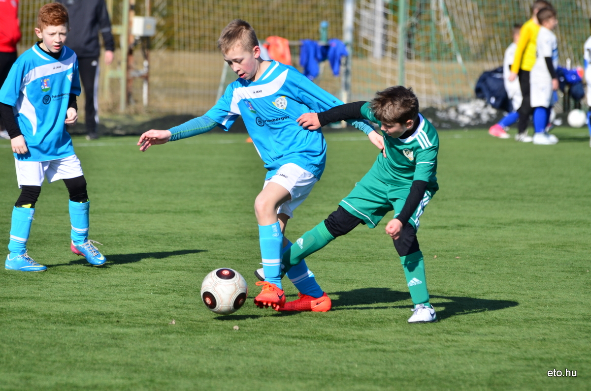 Bozsik kupa 180310