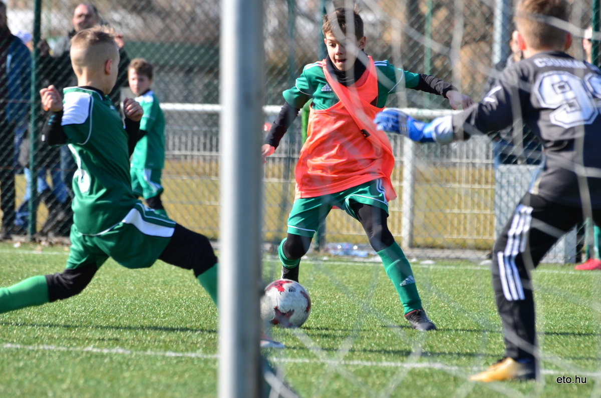 Bozsik kupa 180310