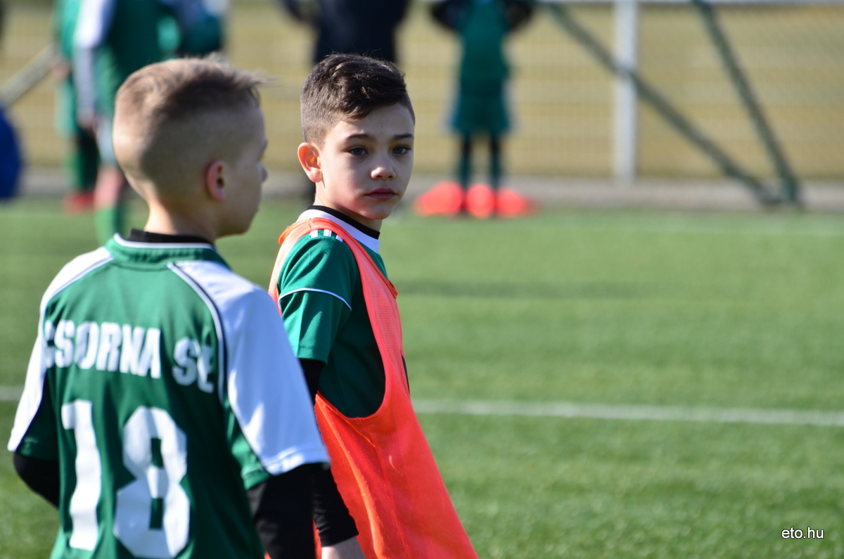 Bozsik kupa 180310