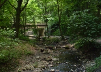 Bakonyi kirándulás