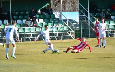 Balatonfüreden az akadémisták