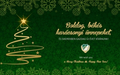 Békés karácsonyt, boldog új évet!