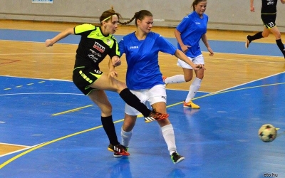 Rangadó Tolnán