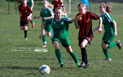 U17: Fölényes győzelem a Honvéd ellen!